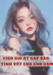 1733914326-gieo-gio-at-gap-bao-tinh-vut-cho-cho-gam